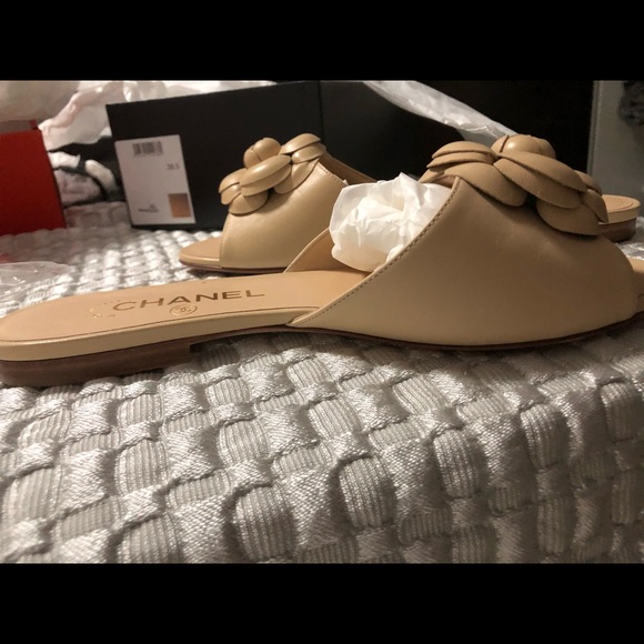 Flats - Picture 7 of 12